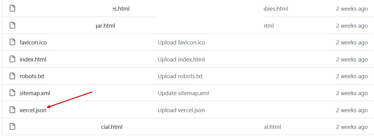 The vercel.json file